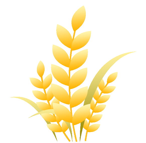 粮食节约 人人有责——玉树五高开展世界粮食日和粮食安全宣传周活动