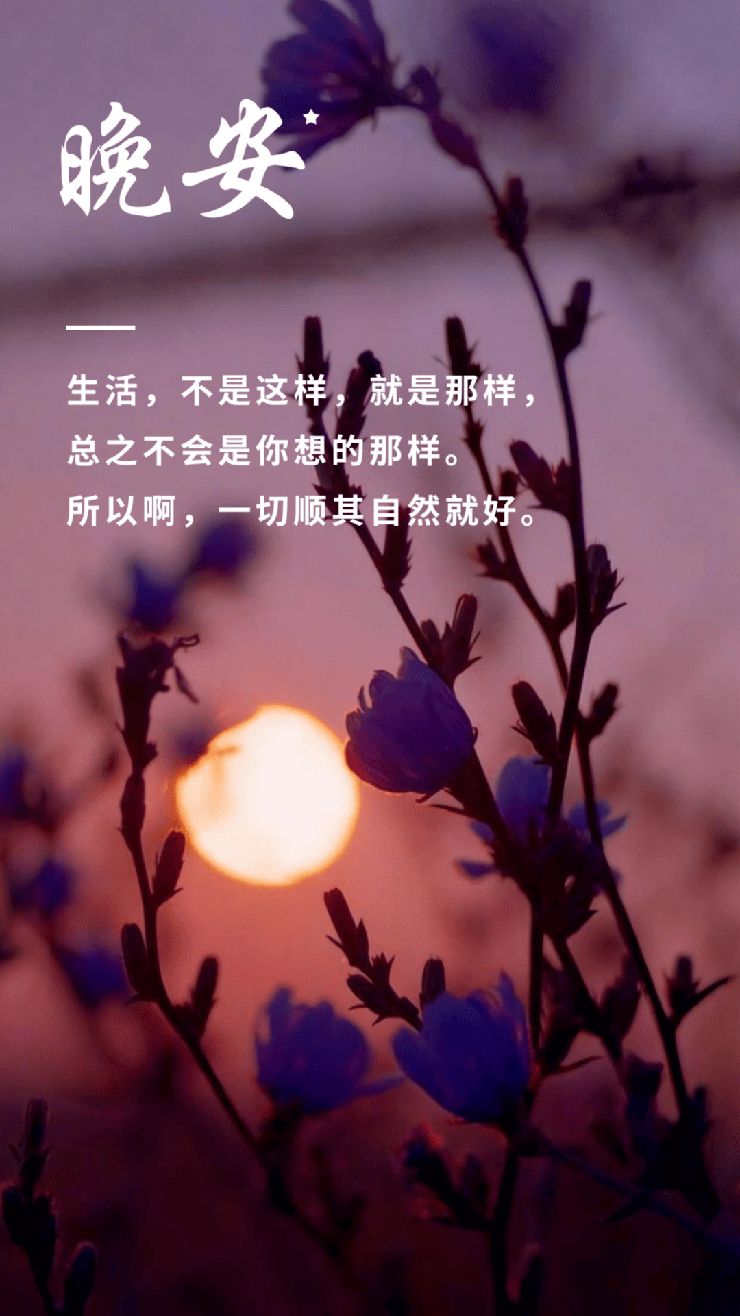 适合发朋友圈晚安文案哲理句子,晚安正能量语录励志说说带图片