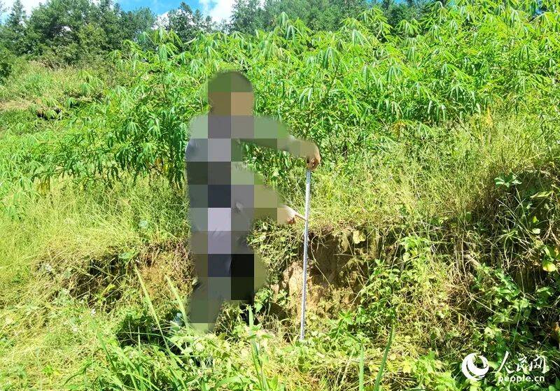 福建城坤建材有限公司毁坏永久基本农田:政府称监管落实不力(图3)