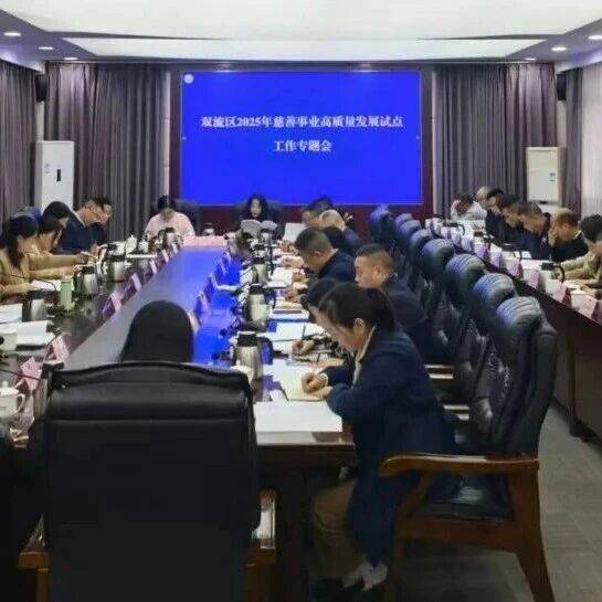 擘画新篇 聚力前行——双流区2025年慈善事业高质量发展试点工作专题会顺利开展_街道_人人_薛燕