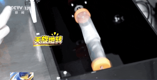 4 只小鼠“航天员”要上中国空间站,“魔鬼训练”画面曝光