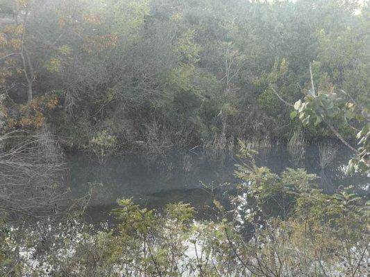 烟台栖霞松山养猪场山上挖坑排污 下游200户