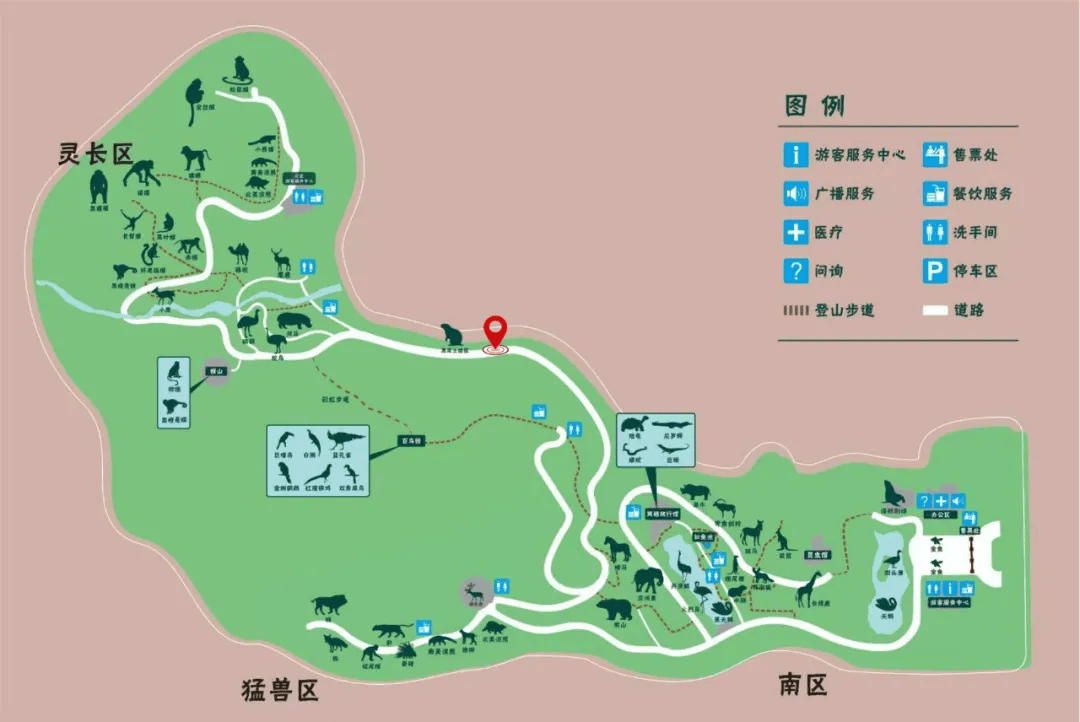 2025国际猩猩关爱周