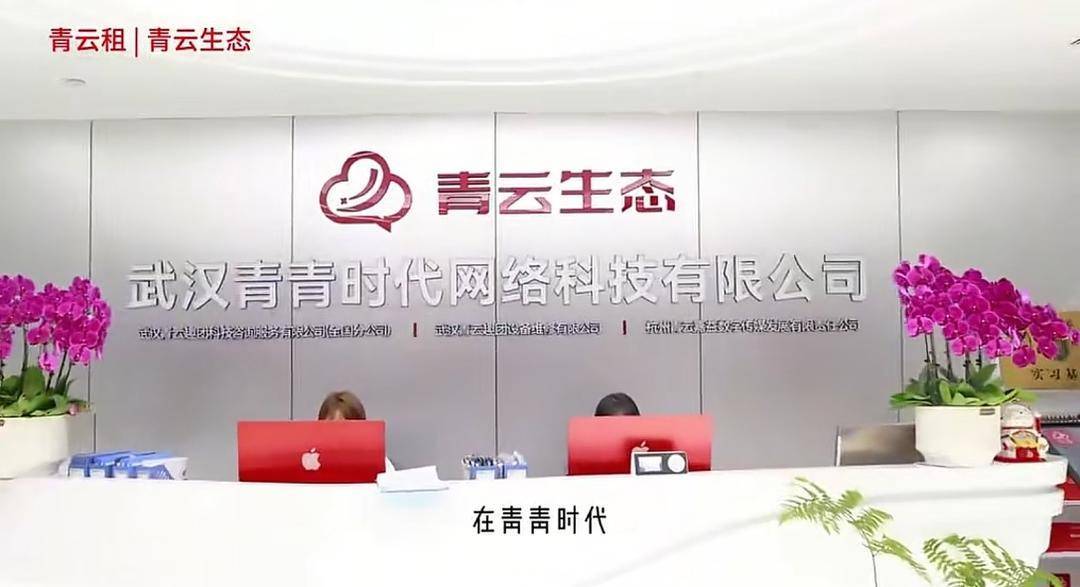 “青云租”爆雷员工揭内幕:每个员工每月需投资30台手机,11万台集中流向两个村庄 丨封面头条