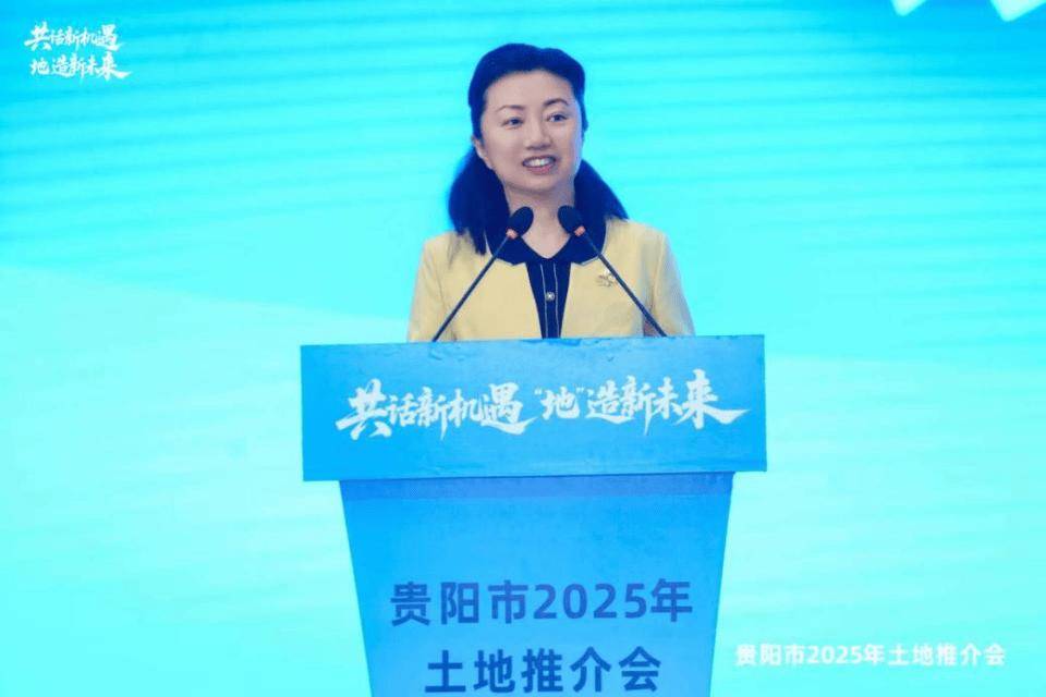 贵阳女副市长高杨主动投案(图1)