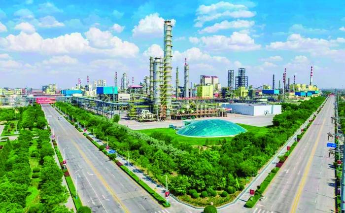 宝丰能源总裁刘元管：致力于成为全球新材料重要供应商