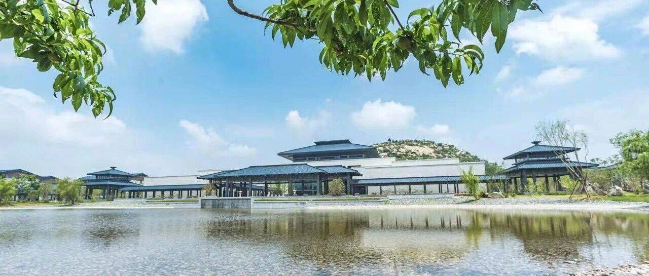 张立东 | 夏文化探索的五次浪潮_遗址_考古_二里头