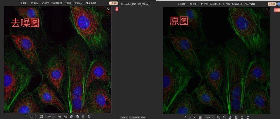 拍烂的荧光图,一键背景去噪,竟然惊艳审稿人!_处理_实验_AutoCell