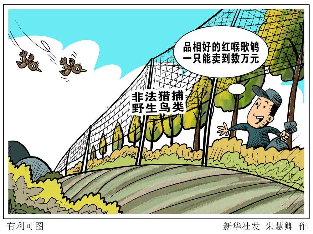 莫让“捕网”变“法网” 当心“鸟笼”变“囚笼”_搜狐网
