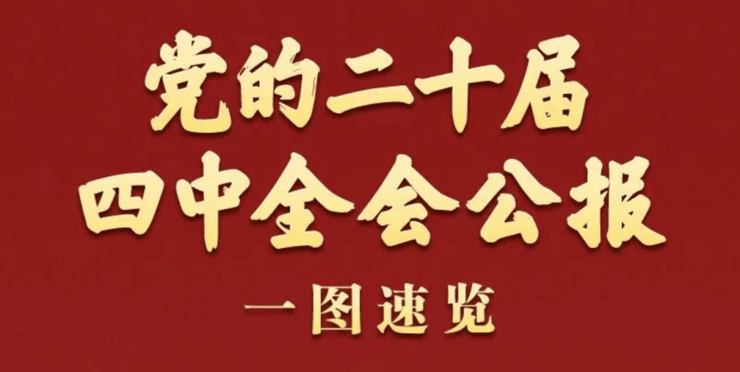 市学联秘书处组织开展学习宣传贯彻党的二十届四中全会精神座谈会