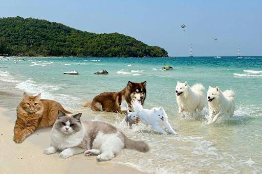 谷歌又一张“王牌”发布!网友玩疯了