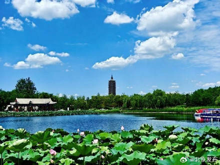 “十四五”期间，京津冀大气污染防治取得积极成效