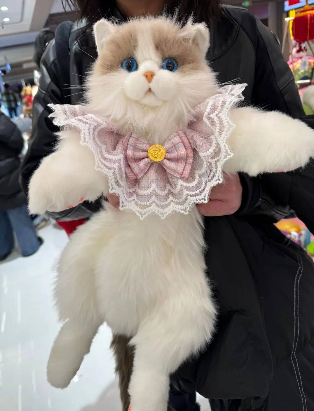 ��־�Ȼ��ͬѧ����һֻ è ȥ�Ͽ���