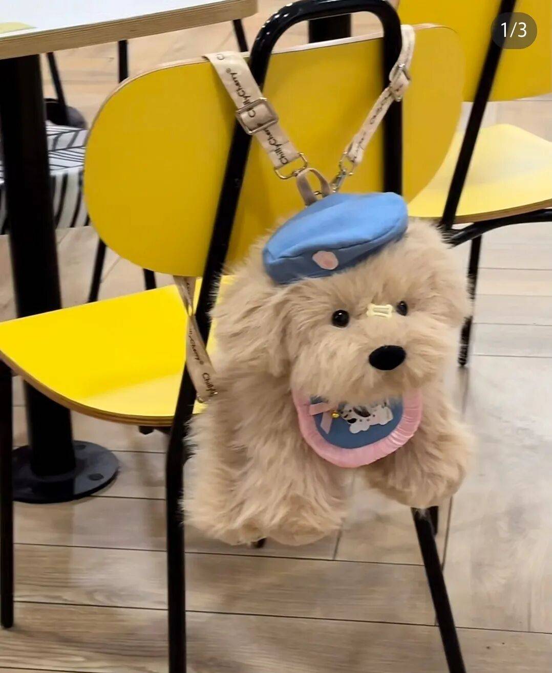 ��־�Ȼ��ͬѧ����һֻ è ȥ�Ͽ���