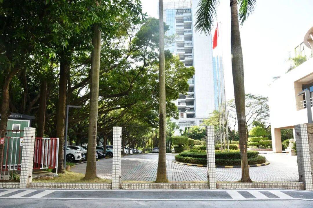 深圳一机关大院，主动把围墙拆了……