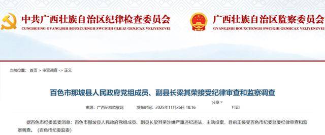 最新！广西2名干部被查