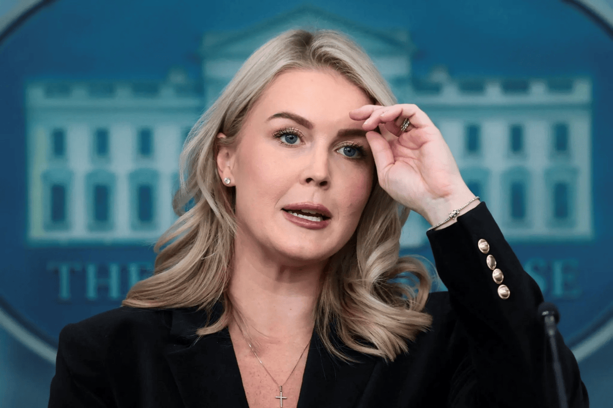 美媒：白宫新闻秘书莱维特侄子的母亲，被美国移民执法局拘捕