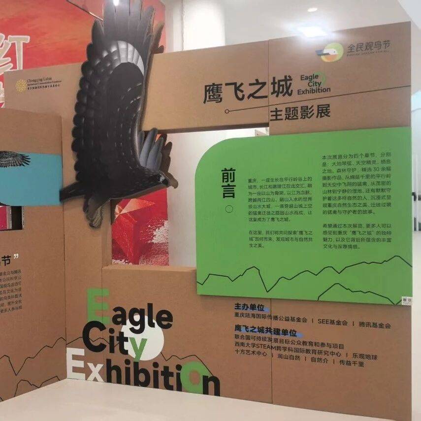 展览丨“鹰飞之城”主题影展_重庆市_猛禽_城市