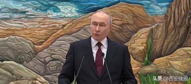 普京：我不理解