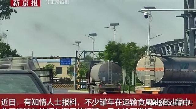 新加坡总理公开支持高市后,被罚18亿账单的金龙鱼,凉得更快了