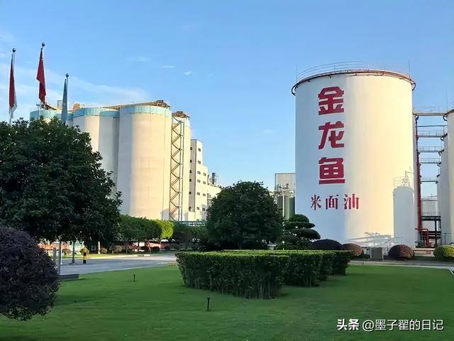 新加坡总理公开支持高市后,被罚18亿账单的金龙鱼,凉得更快了