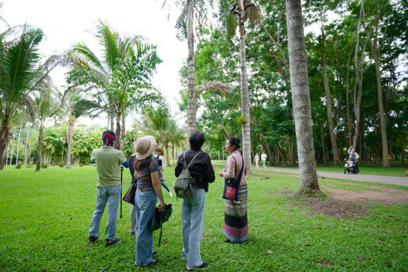 观鸟，不只是观鸟：云南绿水青山间的“新翅膀”