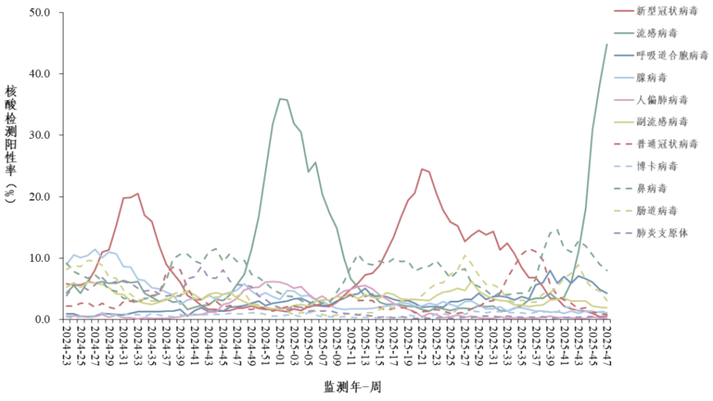 全国流感阳性率接近45%，12月将迎感染高峰！医生提醒