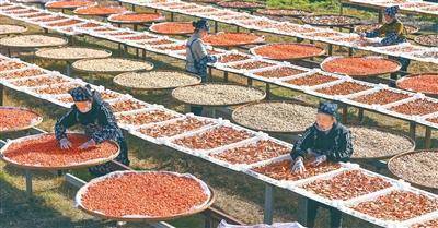 这三个群体，收入分配要“多得”（这些新提法，写入“十五五”规划建议③）