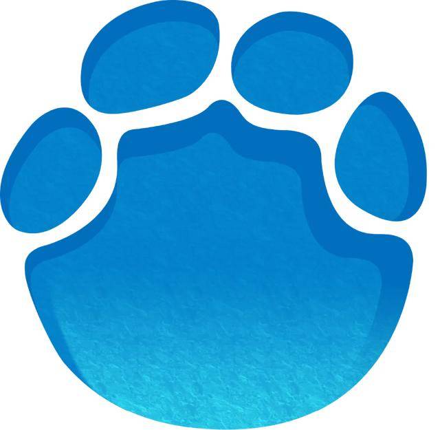 马斯克官宣高管女友：半个印度人，小其15岁的AI专家；是14个孩子中4个孩子的母亲