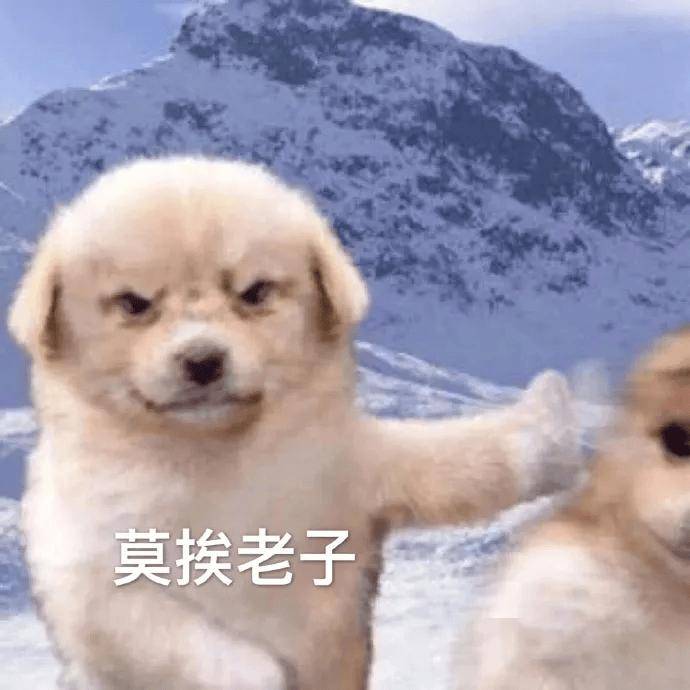 以为是内娱模范夫妻,没想到私下也要离?更奇葩的是婆婆