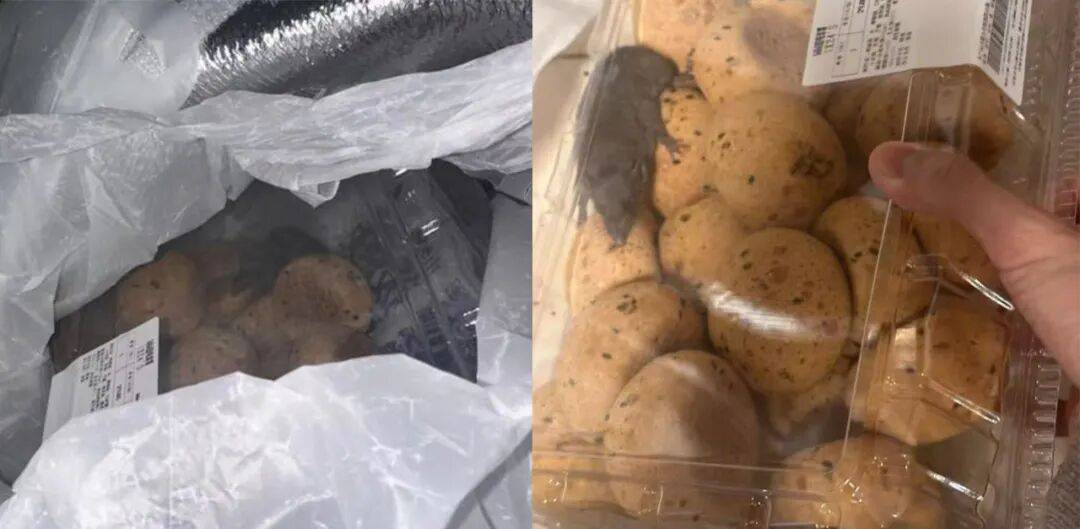 山姆麻薯盒内惊现活老鼠?当事人:打开那一刻,人都吓蒙了(图1)