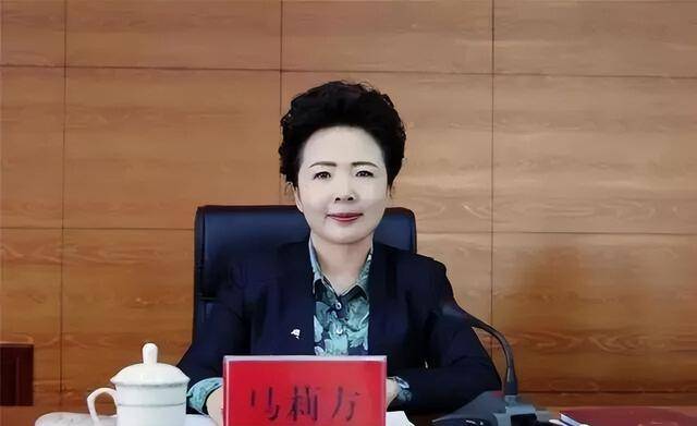 副厅长马莉方，被查