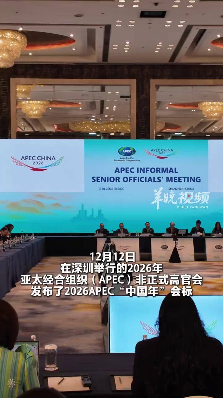 12月12日，2026APEC“中国年”会标正式发布。明年APEC领导人非正式会议主办城市深圳别称“鹏城”，会标以鲲鹏为核心组成了视觉元素 ...