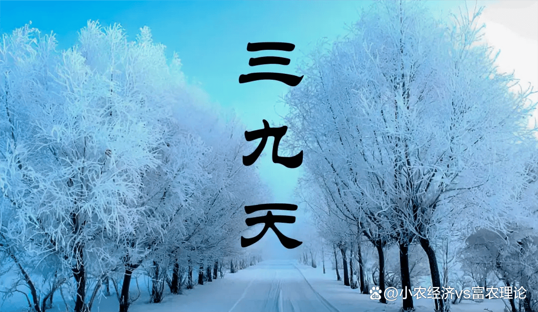 今年三九天不一般,是“冬月见三九,寒冷靠边走”,今年冬天到底是冷是暖?_说法_数九寒天_天气