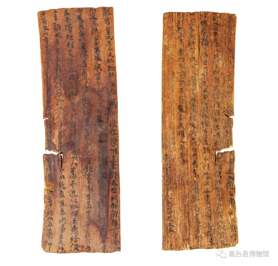 前秦高俟镇墓券_玄武_死者_都乡杨