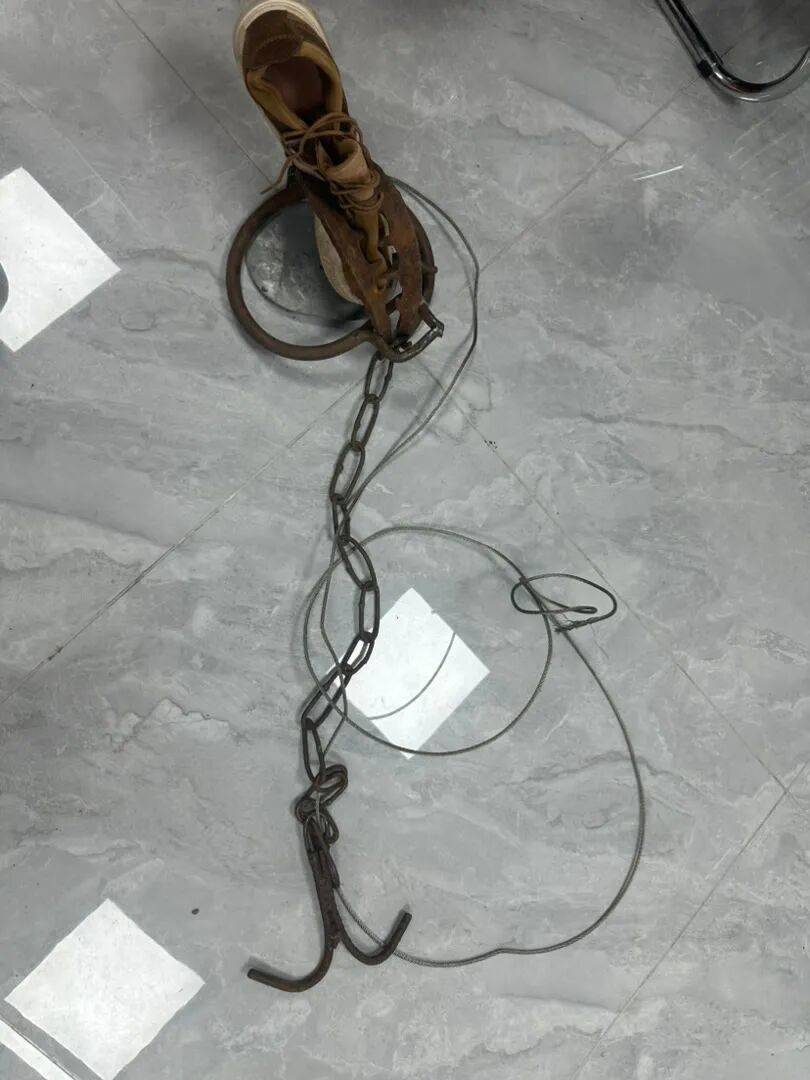 随后,任先生发现捕兽夹被人用铁链拴在了树上,他将夹子从树上卸下后