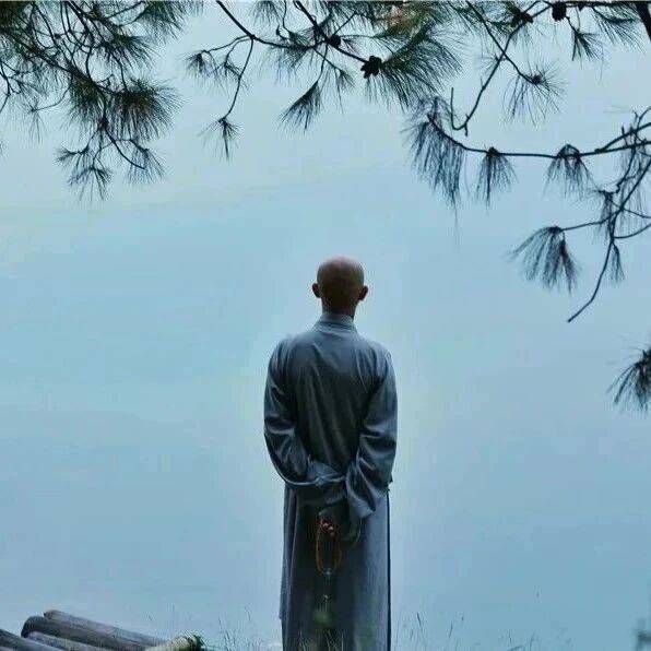 佛说:舍与得!_人生_从容_一生