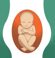 胎儿是臀位能转过来吗？还能顺产吗？