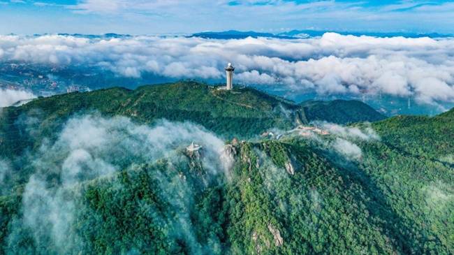 【五律】《春游紫帽山》庄灿煌