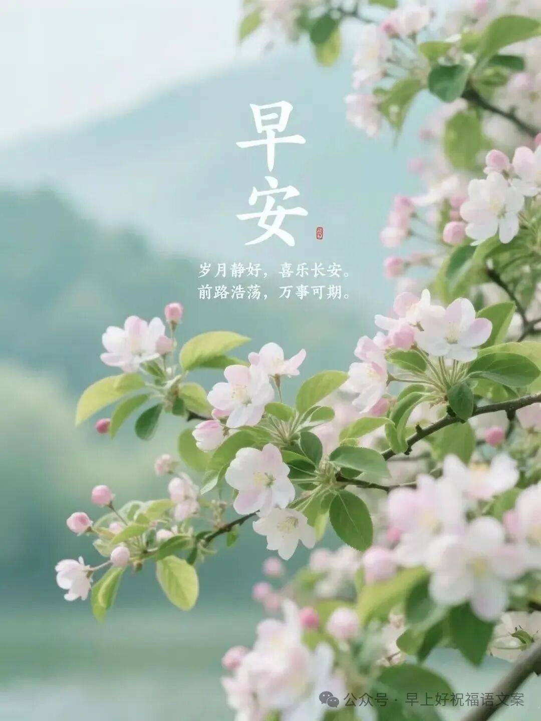 2025年12月24日最新版早上好漂亮的问候祝福早安祝福图片身体倍加好
