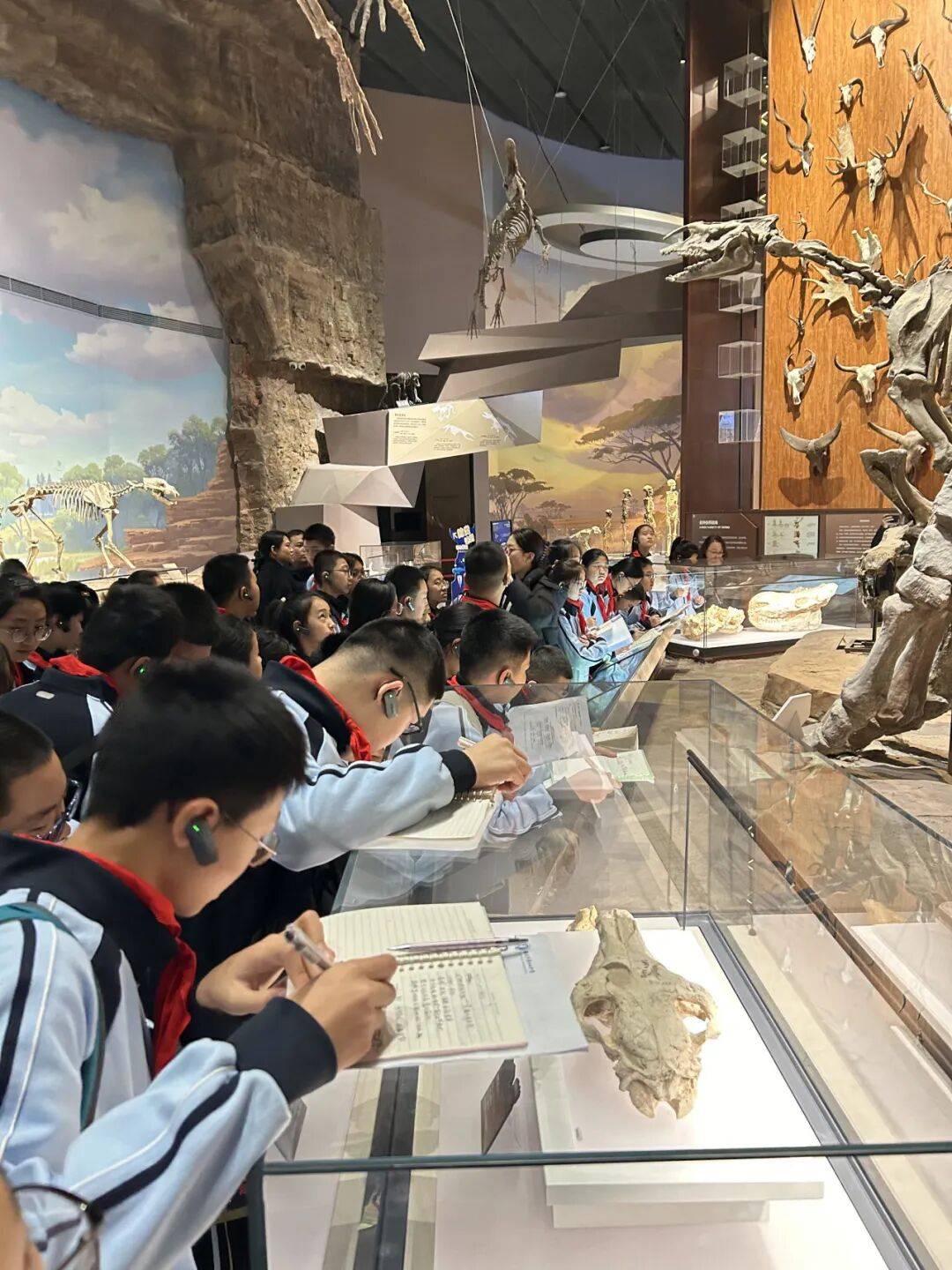保定十七中开展走进保定自然博物馆研学活动