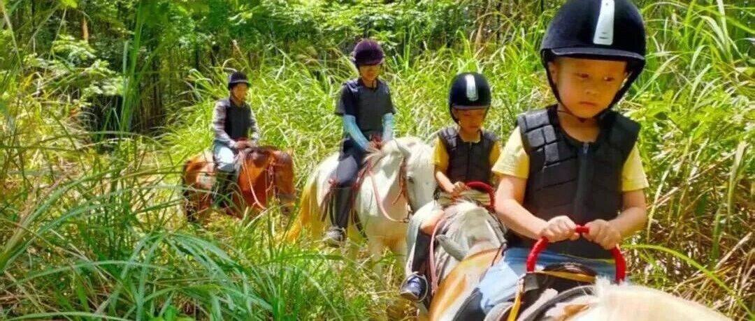 【1月3日】元旦森林野骑，变身小骑士解锁马术初体验_活动_马匹_启蒙