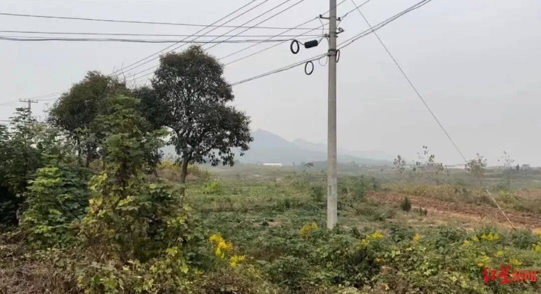 校长和教练合谋投毒致130人中毒7人死亡，已被执行死刑