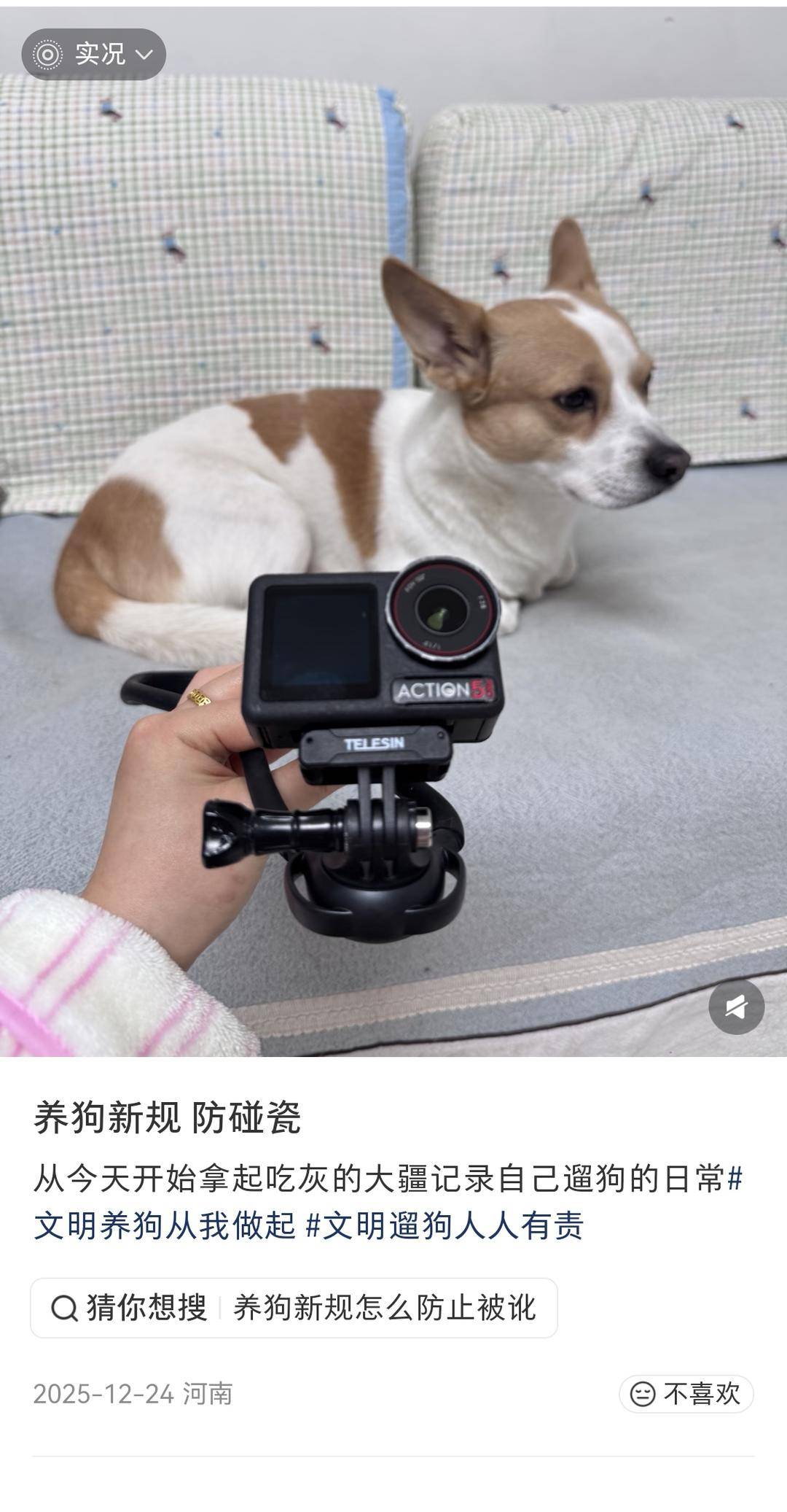 “史上最严”养犬新规今起施行 养犬人自研遛狗神器防被讹|封面深镜