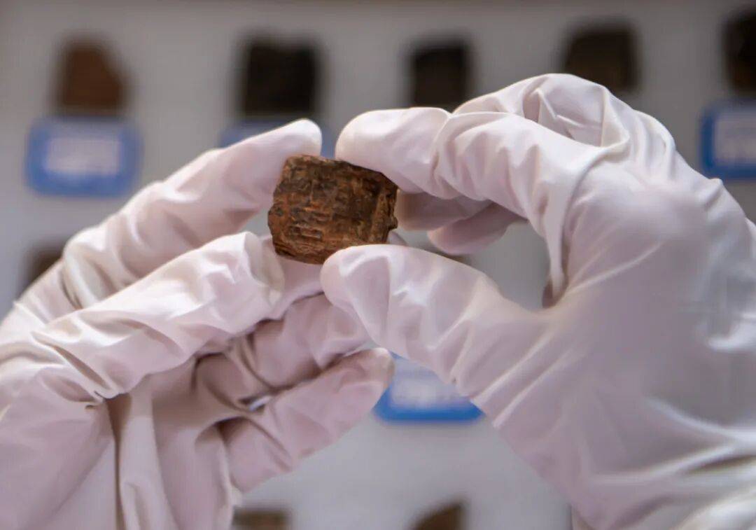 共育团结开云体育- 开云体育官方网站- APP 最新2025