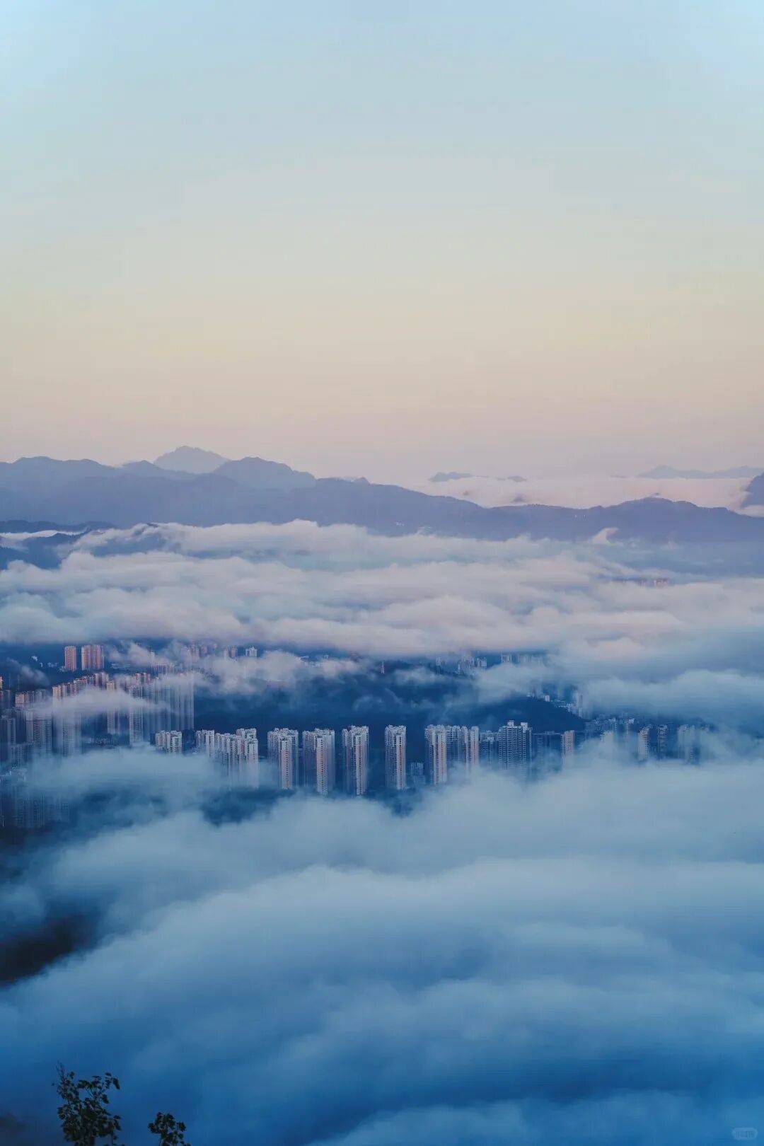 春夏绿浪翻涌秋冬彩林漫山而园岭山最动人的时刻藏在破晓之前