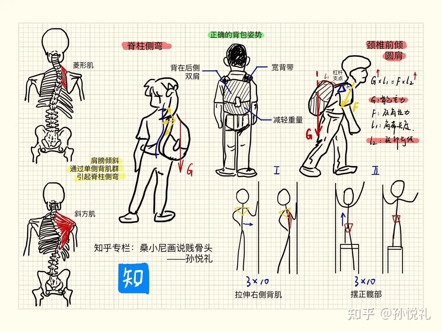 老问题新回答，知乎成立15周年找到新的“打开方式”