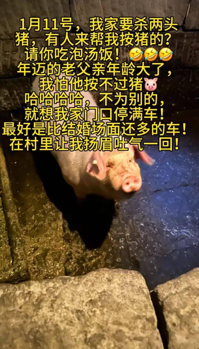 Steam同时在线》为和谐整改部分皮肤、互动场景紧急滑跪丨每