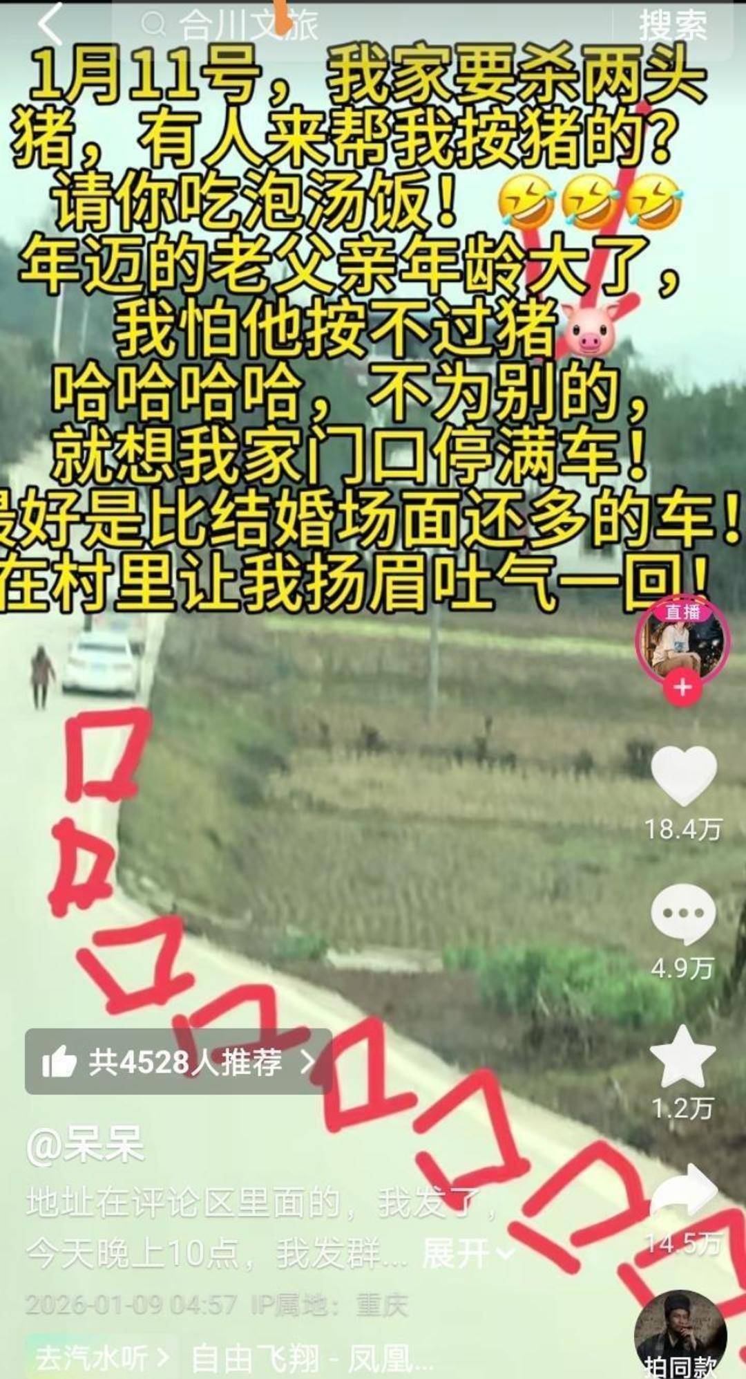 重庆一女子不会杀猪网上求助，上千网友驱车来帮忙，村干部：宰了5头猪吃流水席