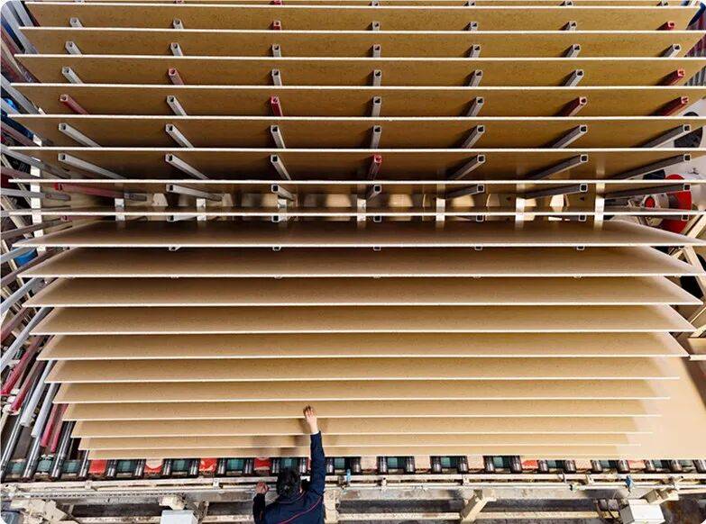 中邦对纤维板进口量大幅延长